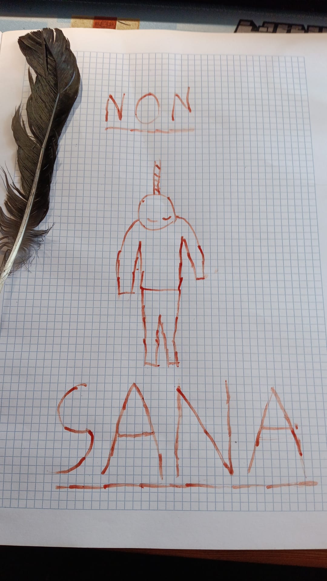 Non Sana